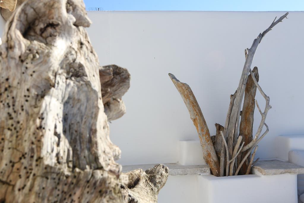 Portadamare Bed & Breakfast Trani Dış mekan fotoğraf